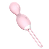 Vibrating Kegel Ball for Women Remote Control Ben Wa Balls G-Spot Vibrator Adult Toys